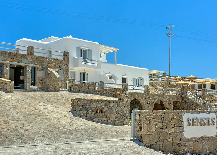 Senses Luxury & Ελιά